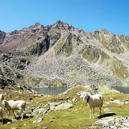 Nadine-3 By Interhome Apartamento Sölden