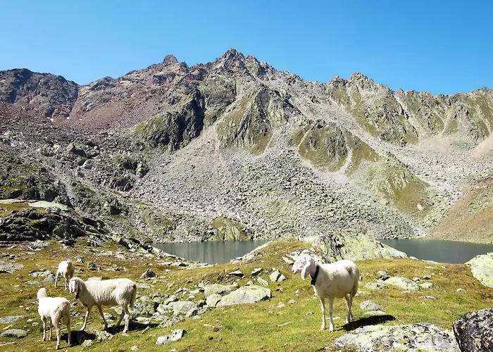 Nadine-3 By Interhome Daire Sölden