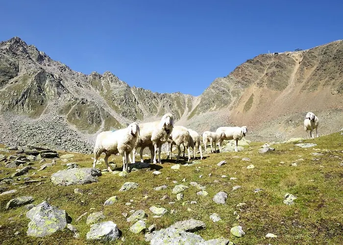 Nadine-3 By Interhome Appartamento *